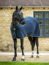 LeMieux Kudos 3D Mesh Travel Rug